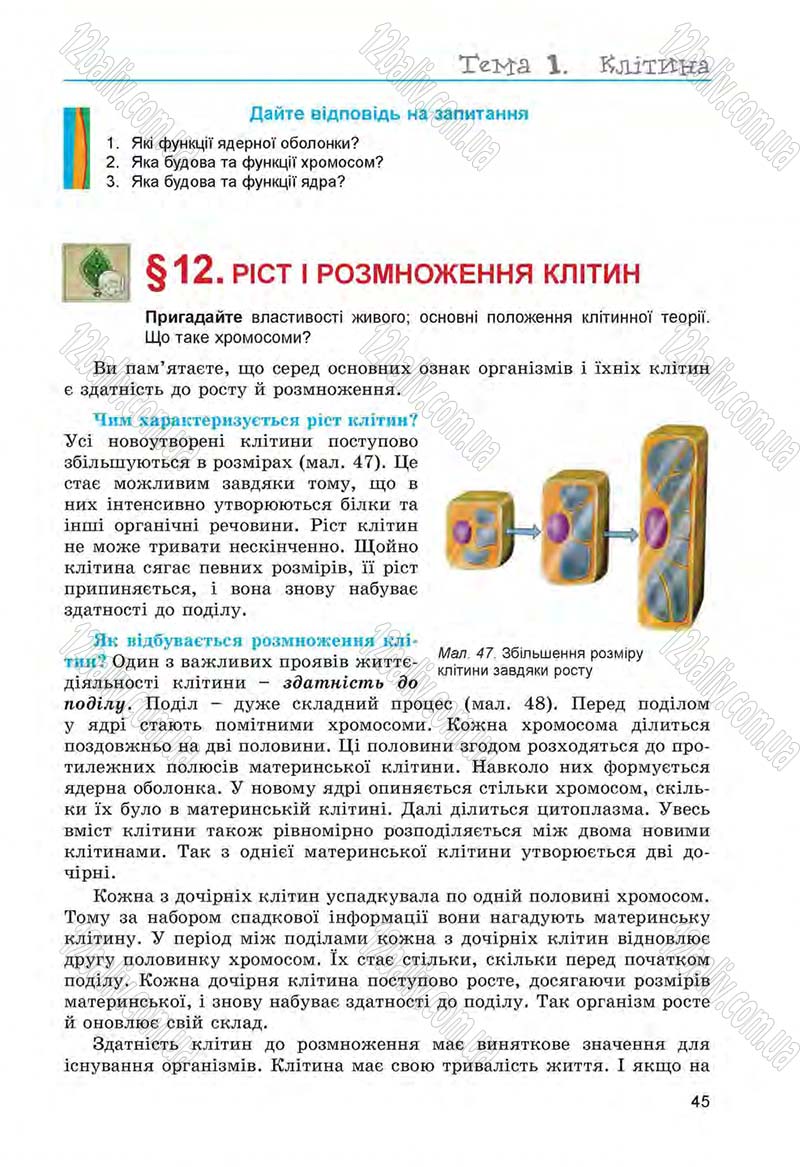 Сторінка 45 - Підручник Біологія 6 клас Л.І. Остапченко, П.Г. Балан, Н.Ю. Матяш 2014