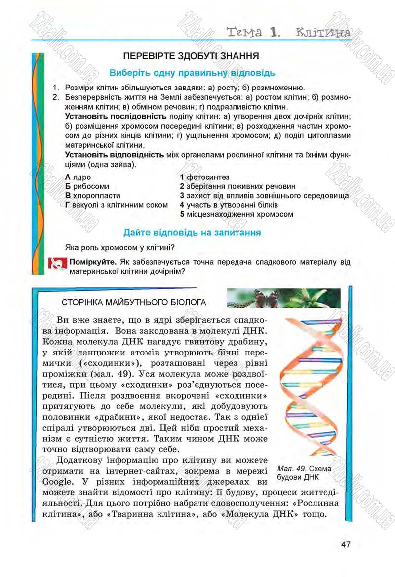 Сторінка 47 - Підручник Біологія 6 клас Л.І. Остапченко, П.Г. Балан, Н.Ю. Матяш 2014