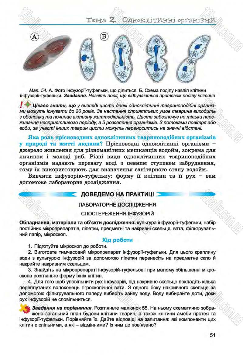 Сторінка 51 - Підручник Біологія 6 клас Л.І. Остапченко, П.Г. Балан, Н.Ю. Матяш 2014