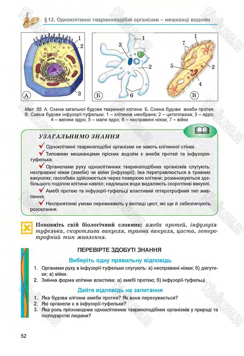 Сторінка 52 - Підручник Біологія 6 клас Л.І. Остапченко, П.Г. Балан, Н.Ю. Матяш 2014