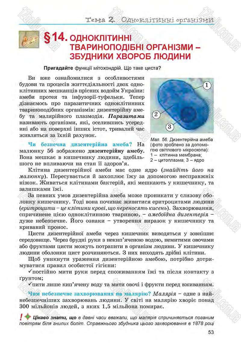 Сторінка 53 - Підручник Біологія 6 клас Л.І. Остапченко, П.Г. Балан, Н.Ю. Матяш 2014