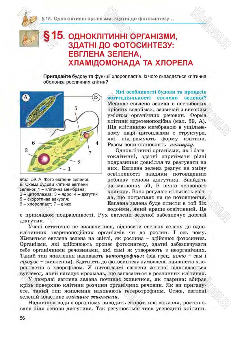 Сторінка 56 - Підручник Біологія 6 клас Л.І. Остапченко, П.Г. Балан, Н.Ю. Матяш 2014