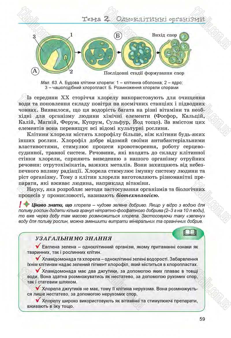 Сторінка 59 - Підручник Біологія 6 клас Л.І. Остапченко, П.Г. Балан, Н.Ю. Матяш 2014