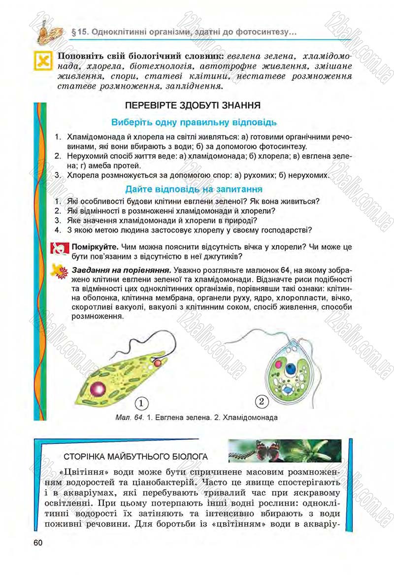 Сторінка 60 - Підручник Біологія 6 клас Л.І. Остапченко, П.Г. Балан, Н.Ю. Матяш 2014