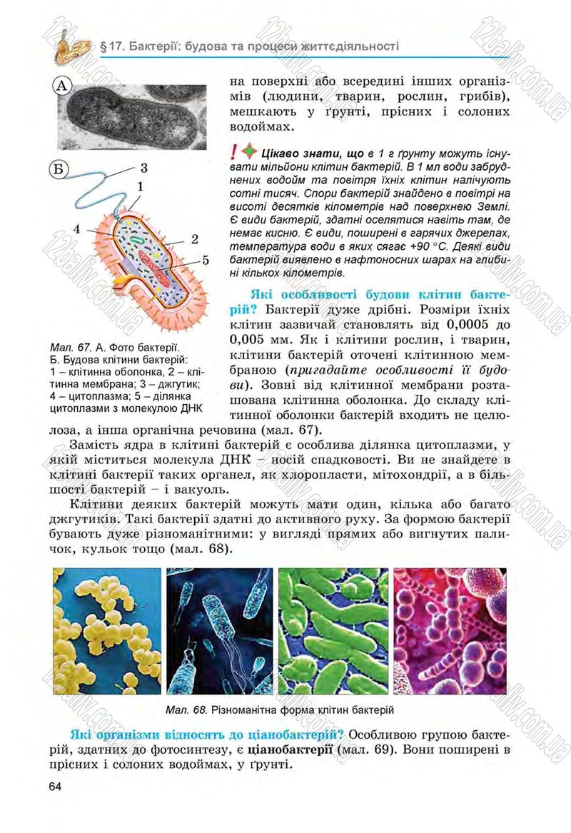 Сторінка 64 - Підручник Біологія 6 клас Л.І. Остапченко, П.Г. Балан, Н.Ю. Матяш 2014