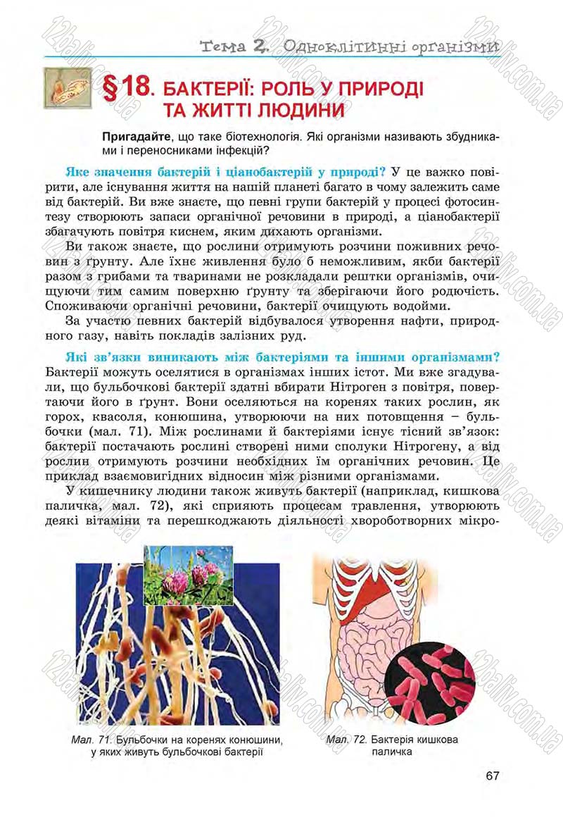 Сторінка 67 - Підручник Біологія 6 клас Л.І. Остапченко, П.Г. Балан, Н.Ю. Матяш 2014