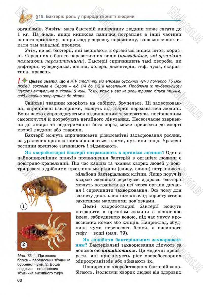 Сторінка 68 - Підручник Біологія 6 клас Л.І. Остапченко, П.Г. Балан, Н.Ю. Матяш 2014