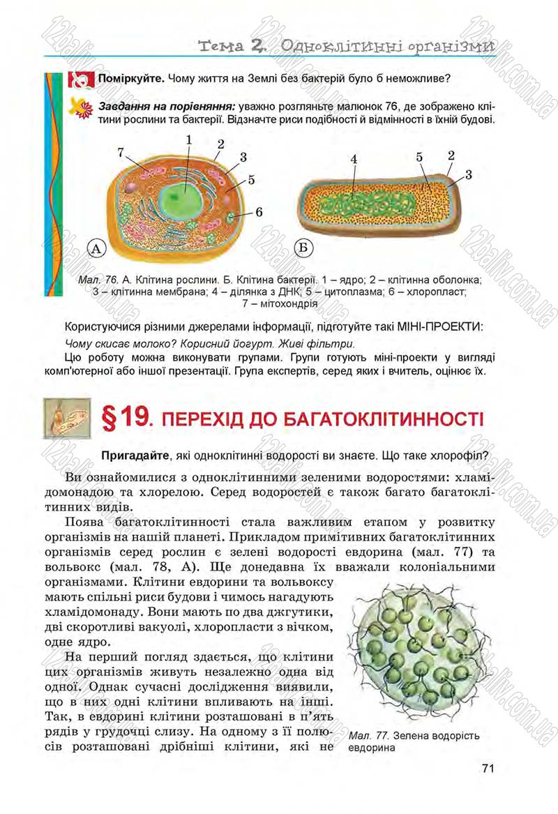 Сторінка 71 - Підручник Біологія 6 клас Л.І. Остапченко, П.Г. Балан, Н.Ю. Матяш 2014