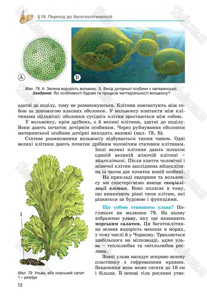 Сторінка 72 - Підручник Біологія 6 клас Л.І. Остапченко, П.Г. Балан, Н.Ю. Матяш 2014