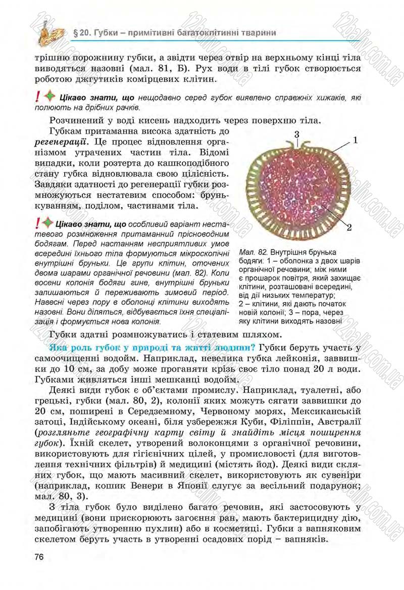 Сторінка 76 - Підручник Біологія 6 клас Л.І. Остапченко, П.Г. Балан, Н.Ю. Матяш 2014