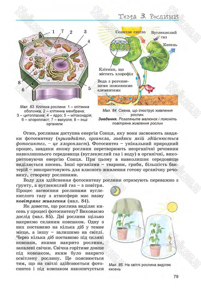 Сторінка 79 - Підручник Біологія 6 клас Л.І. Остапченко, П.Г. Балан, Н.Ю. Матяш 2014