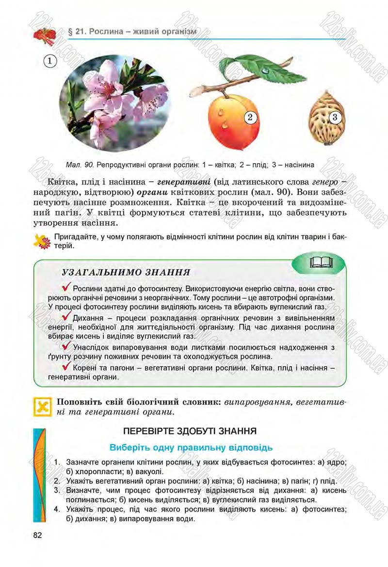 Сторінка 82 - Підручник Біологія 6 клас Л.І. Остапченко, П.Г. Балан, Н.Ю. Матяш 2014