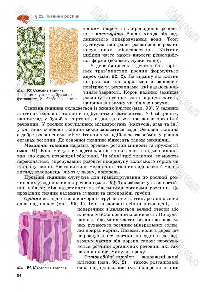 Сторінка 84 - Підручник Біологія 6 клас Л.І. Остапченко, П.Г. Балан, Н.Ю. Матяш 2014