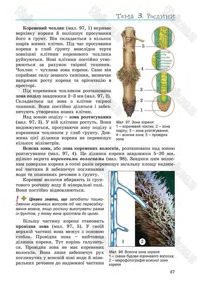 Сторінка 87 - Підручник Біологія 6 клас Л.І. Остапченко, П.Г. Балан, Н.Ю. Матяш 2014