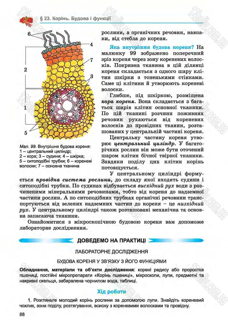 Сторінка 88 - Підручник Біологія 6 клас Л.І. Остапченко, П.Г. Балан, Н.Ю. Матяш 2014