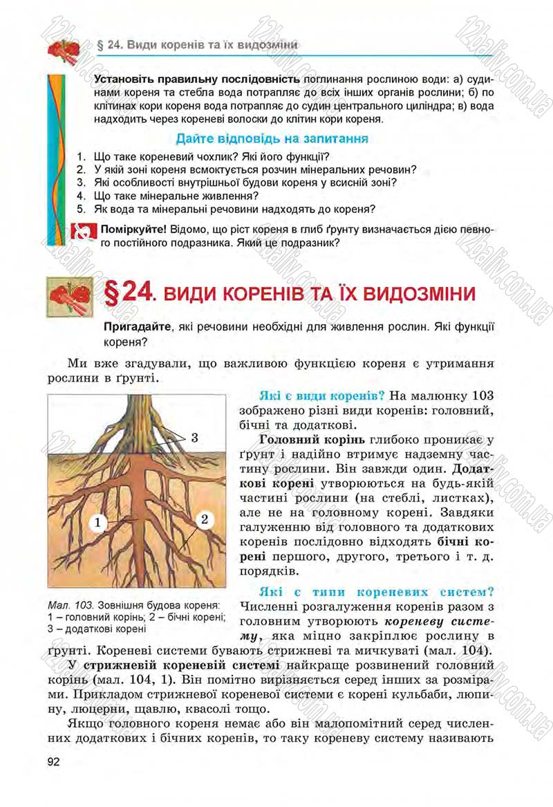 Сторінка 92 - Підручник Біологія 6 клас Л.І. Остапченко, П.Г. Балан, Н.Ю. Матяш 2014