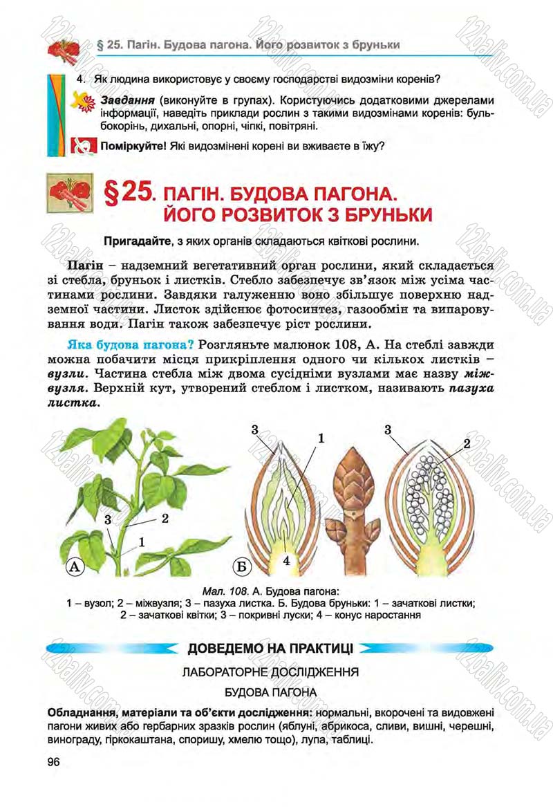 Сторінка 96 - Підручник Біологія 6 клас Л.І. Остапченко, П.Г. Балан, Н.Ю. Матяш 2014