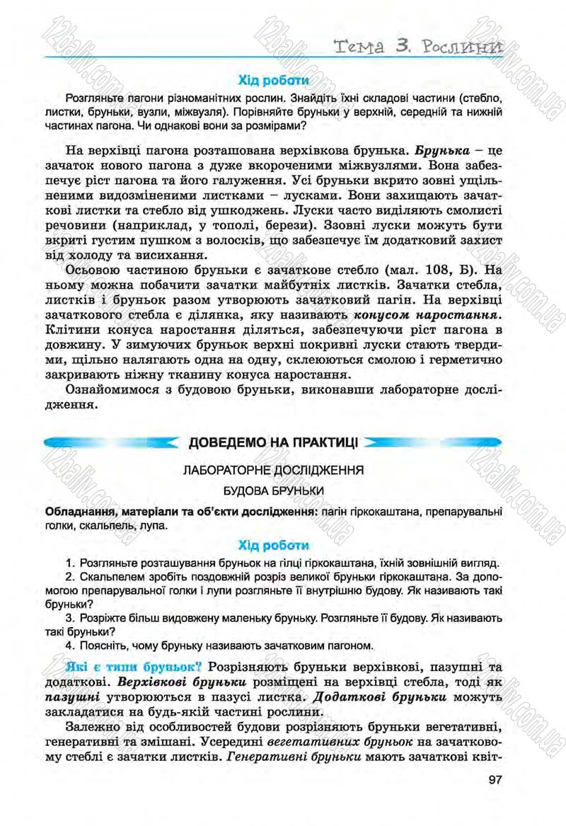 Сторінка 97 - Підручник Біологія 6 клас Л.І. Остапченко, П.Г. Балан, Н.Ю. Матяш 2014