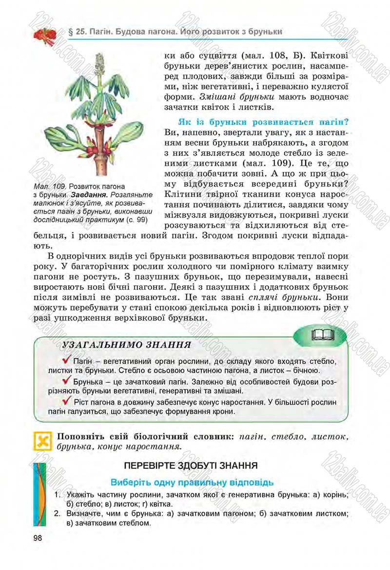 Сторінка 98 - Підручник Біологія 6 клас Л.І. Остапченко, П.Г. Балан, Н.Ю. Матяш 2014
