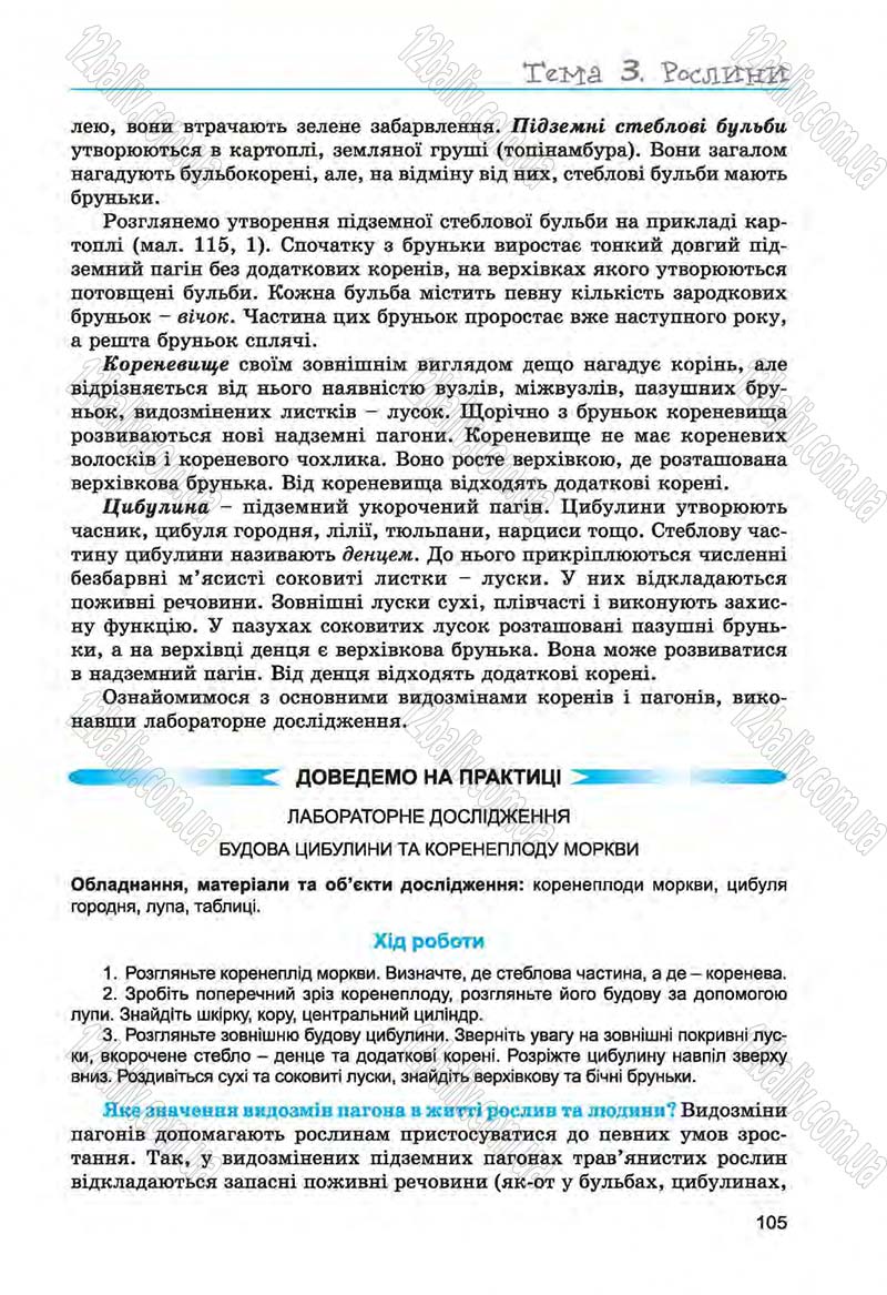 Сторінка 105 - Підручник Біологія 6 клас Л.І. Остапченко, П.Г. Балан, Н.Ю. Матяш 2014