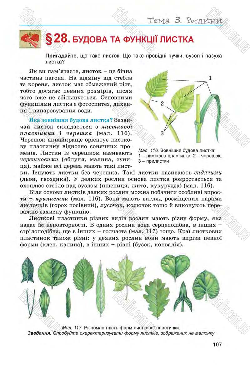 Сторінка 107 - Підручник Біологія 6 клас Л.І. Остапченко, П.Г. Балан, Н.Ю. Матяш 2014
