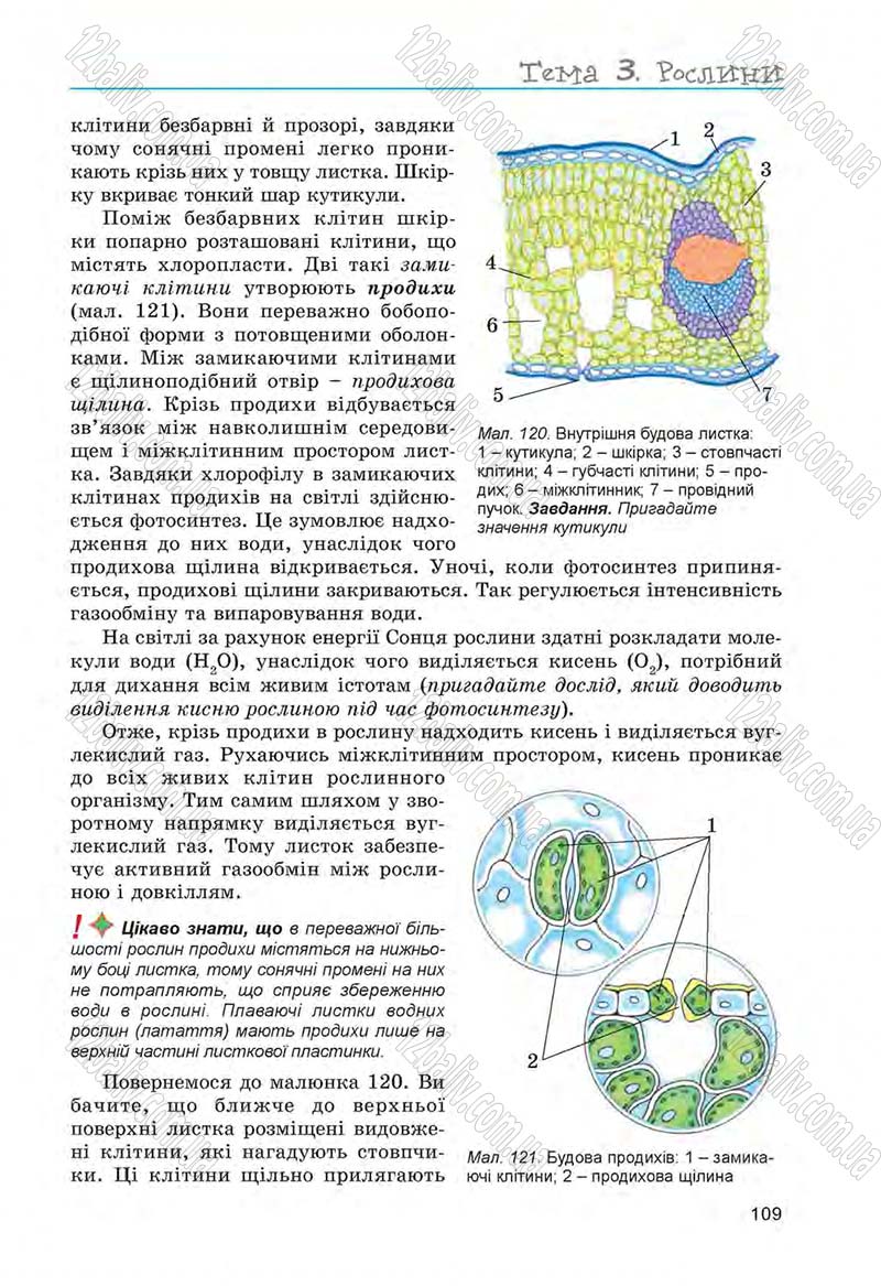 Сторінка 109 - Підручник Біологія 6 клас Л.І. Остапченко, П.Г. Балан, Н.Ю. Матяш 2014