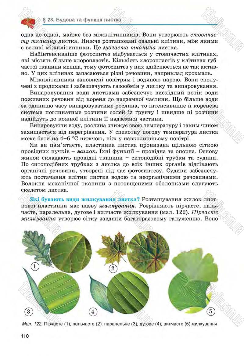Сторінка 110 - Підручник Біологія 6 клас Л.І. Остапченко, П.Г. Балан, Н.Ю. Матяш 2014