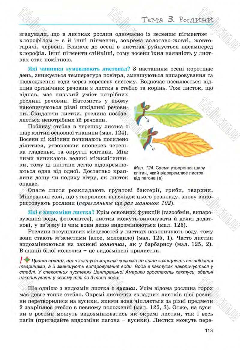 Сторінка 113 - Підручник Біологія 6 клас Л.І. Остапченко, П.Г. Балан, Н.Ю. Матяш 2014
