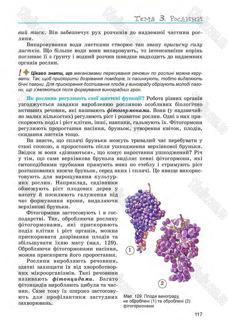 Сторінка 117 - Підручник Біологія 6 клас Л.І. Остапченко, П.Г. Балан, Н.Ю. Матяш 2014