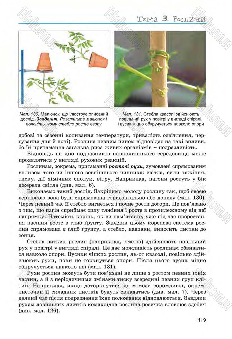 Сторінка 119 - Підручник Біологія 6 клас Л.І. Остапченко, П.Г. Балан, Н.Ю. Матяш 2014