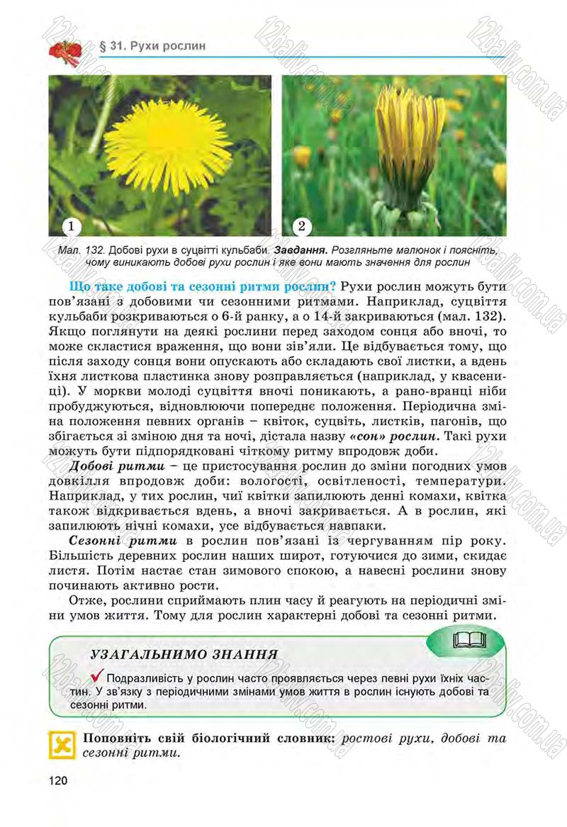 Сторінка 120 - Підручник Біологія 6 клас Л.І. Остапченко, П.Г. Балан, Н.Ю. Матяш 2014