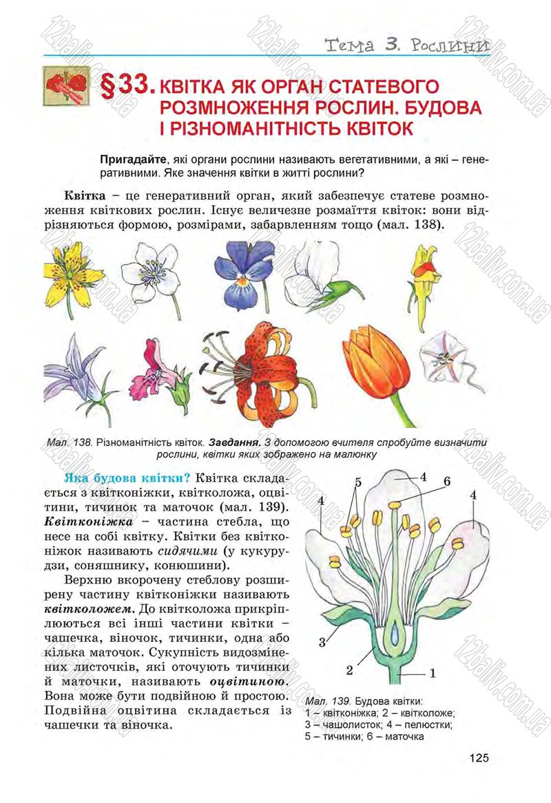 Сторінка 125 - Підручник Біологія 6 клас Л.І. Остапченко, П.Г. Балан, Н.Ю. Матяш 2014