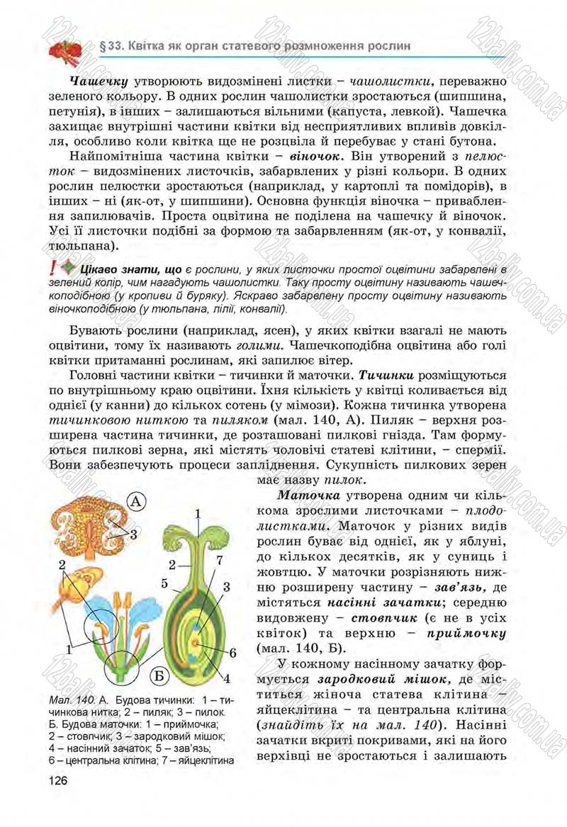 Сторінка 126 - Підручник Біологія 6 клас Л.І. Остапченко, П.Г. Балан, Н.Ю. Матяш 2014