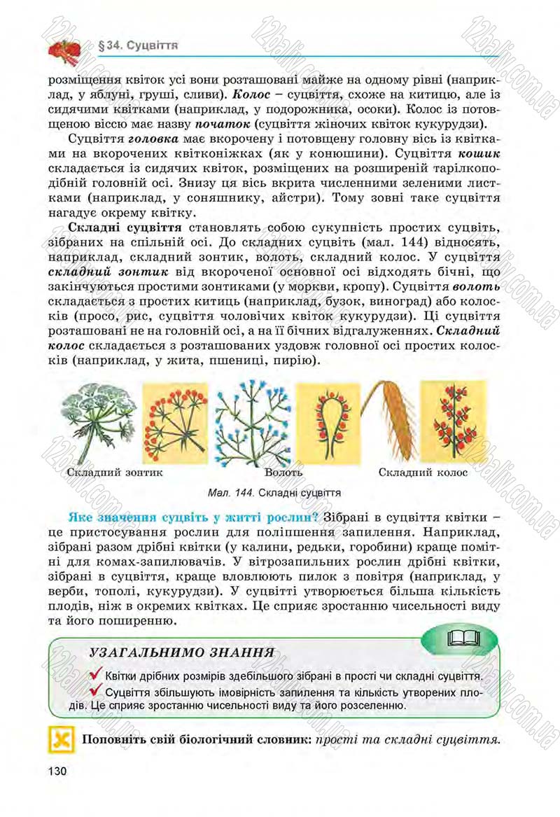 Сторінка 130 - Підручник Біологія 6 клас Л.І. Остапченко, П.Г. Балан, Н.Ю. Матяш 2014