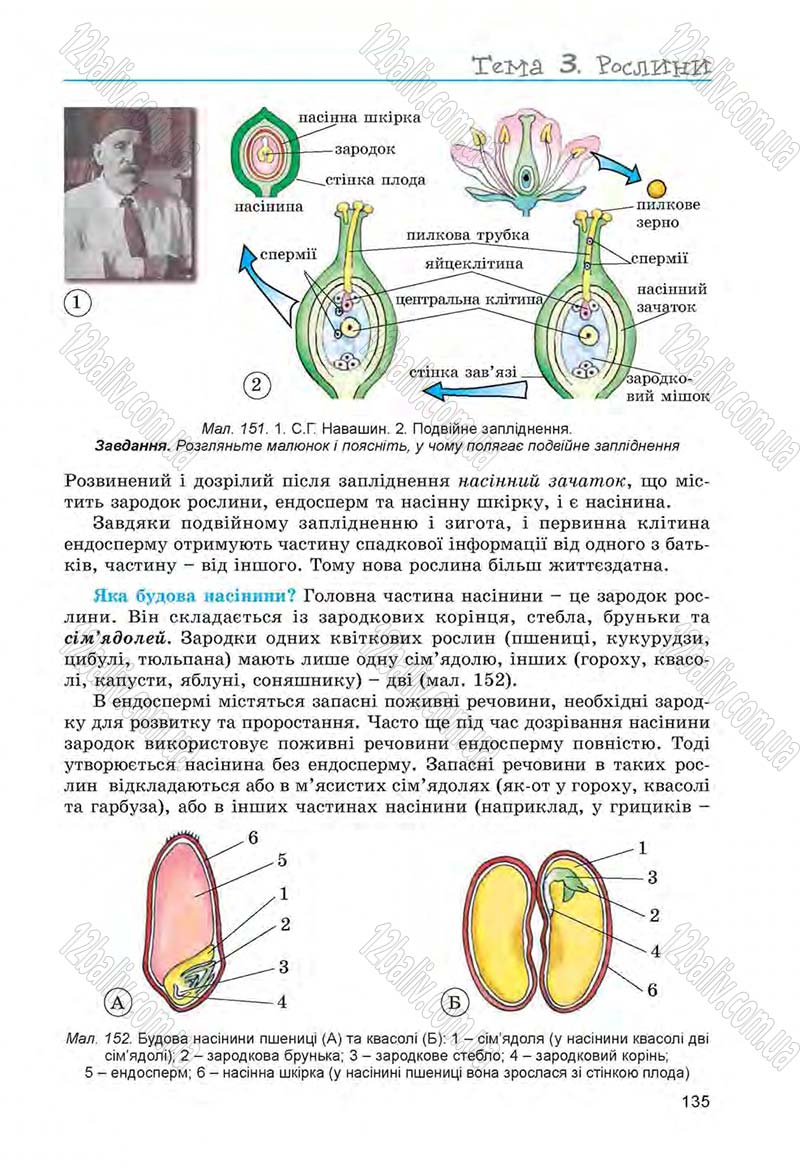 Сторінка 135 - Підручник Біологія 6 клас Л.І. Остапченко, П.Г. Балан, Н.Ю. Матяш 2014