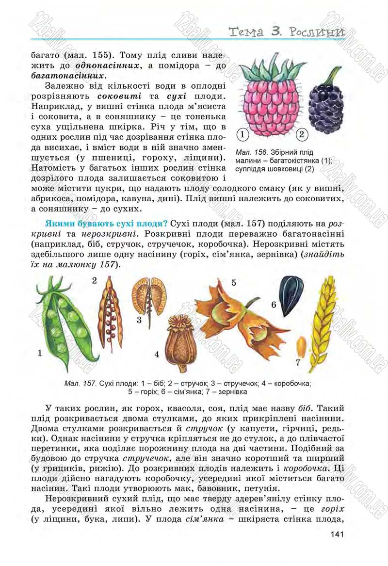 Сторінка 141 - Підручник Біологія 6 клас Л.І. Остапченко, П.Г. Балан, Н.Ю. Матяш 2014