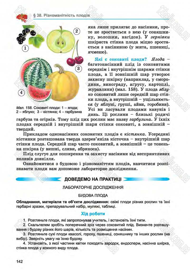 Сторінка 142 - Підручник Біологія 6 клас Л.І. Остапченко, П.Г. Балан, Н.Ю. Матяш 2014