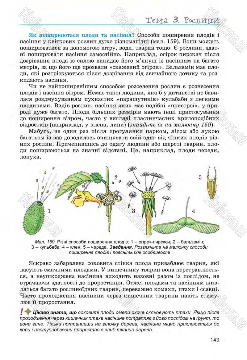 Сторінка 143 - Підручник Біологія 6 клас Л.І. Остапченко, П.Г. Балан, Н.Ю. Матяш 2014
