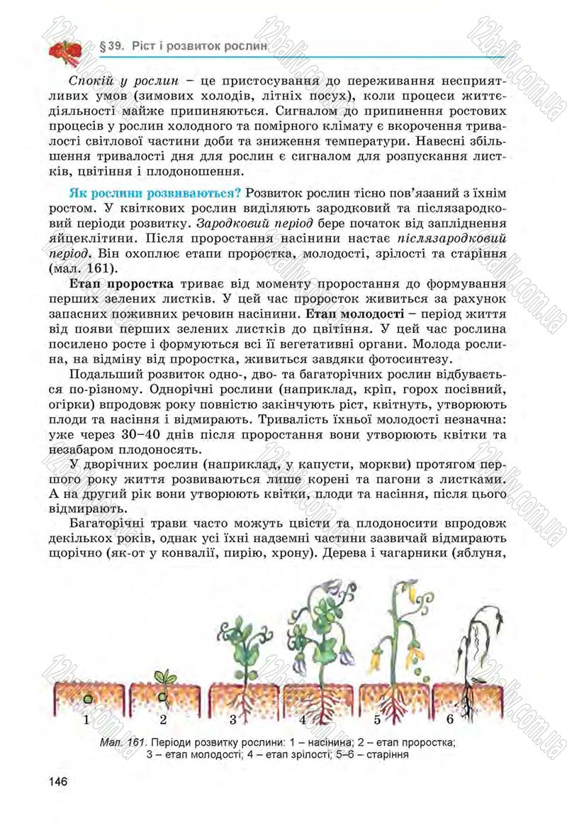 Сторінка 146 - Підручник Біологія 6 клас Л.І. Остапченко, П.Г. Балан, Н.Ю. Матяш 2014
