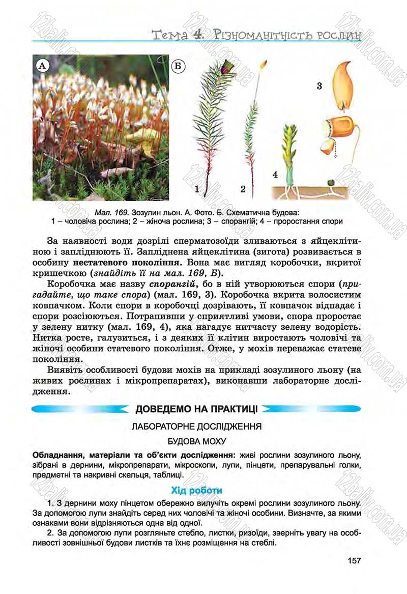 Сторінка 157 - Підручник Біологія 6 клас Л.І. Остапченко, П.Г. Балан, Н.Ю. Матяш 2014