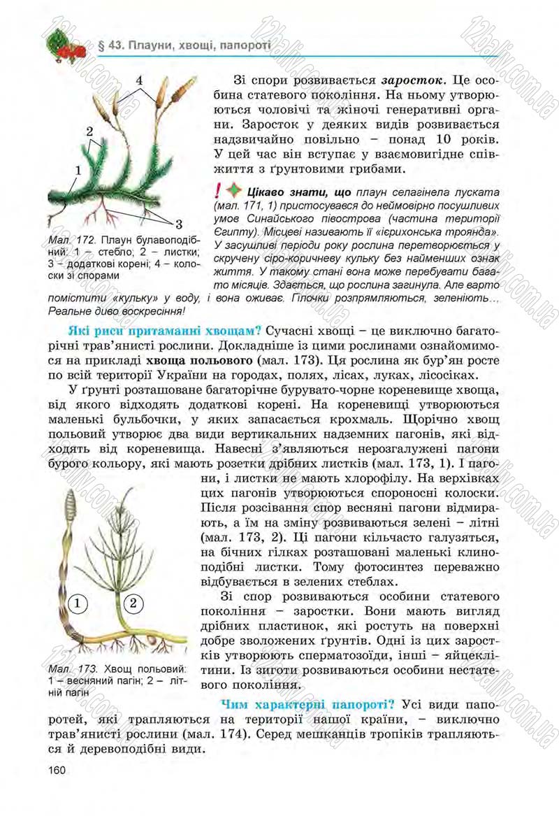 Сторінка 160 - Підручник Біологія 6 клас Л.І. Остапченко, П.Г. Балан, Н.Ю. Матяш 2014