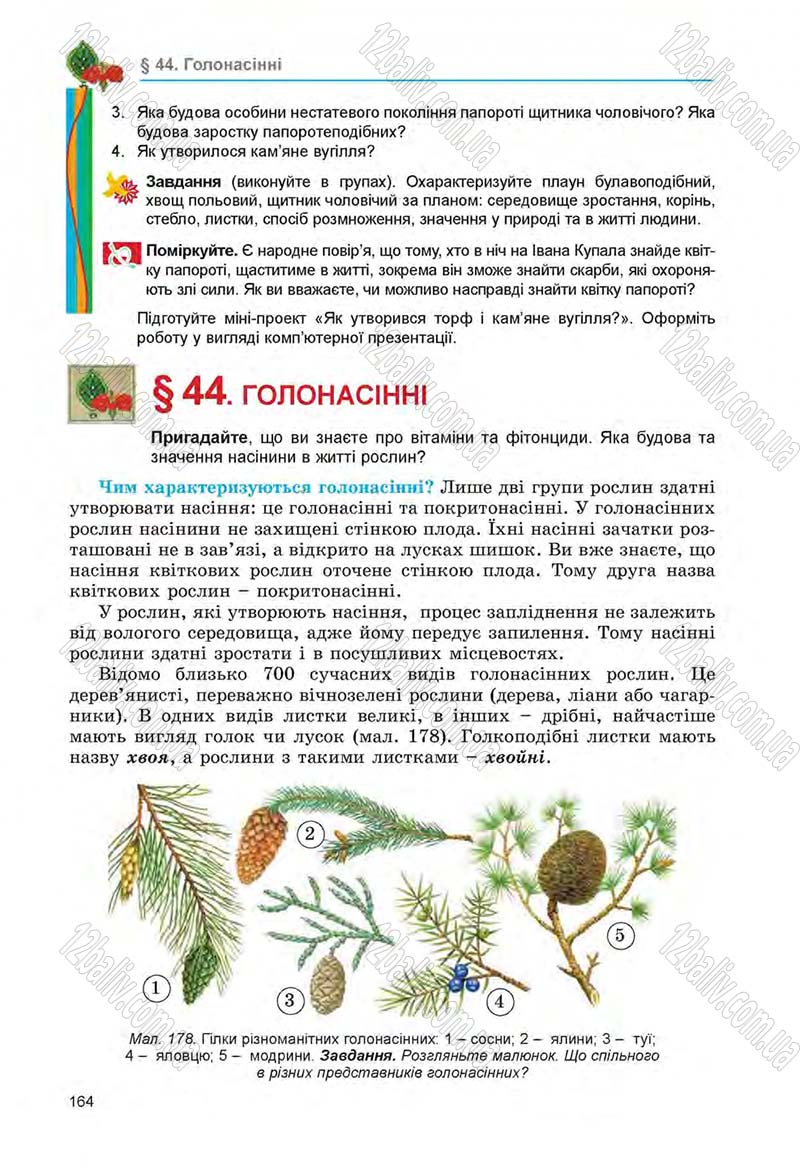 Сторінка 164 - Підручник Біологія 6 клас Л.І. Остапченко, П.Г. Балан, Н.Ю. Матяш 2014