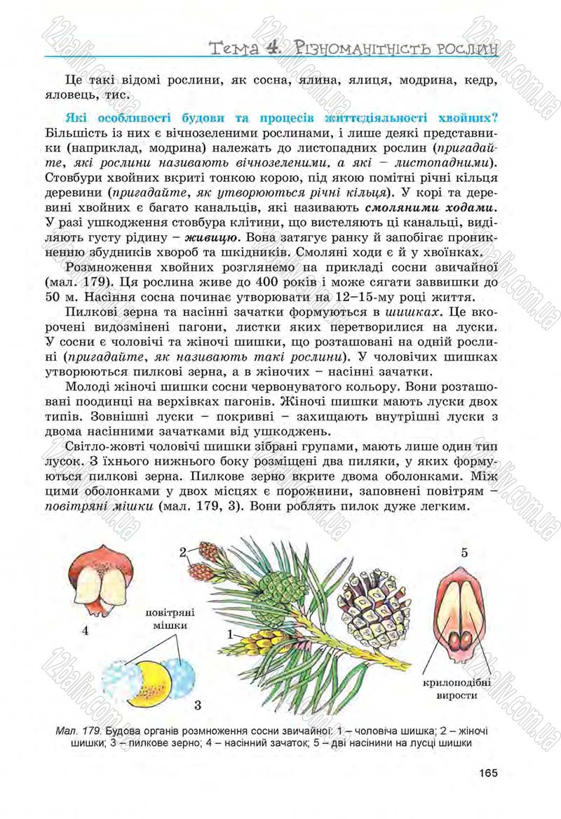 Сторінка 165 - Підручник Біологія 6 клас Л.І. Остапченко, П.Г. Балан, Н.Ю. Матяш 2014