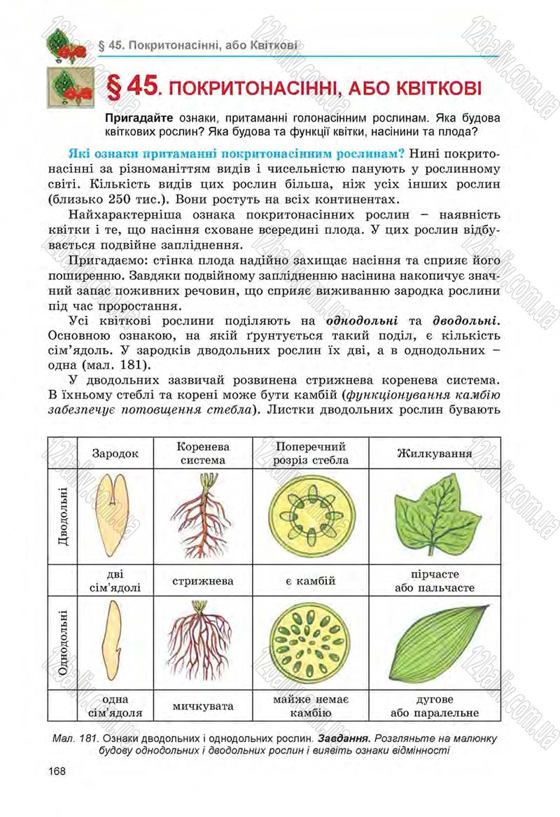 Сторінка 168 - Підручник Біологія 6 клас Л.І. Остапченко, П.Г. Балан, Н.Ю. Матяш 2014