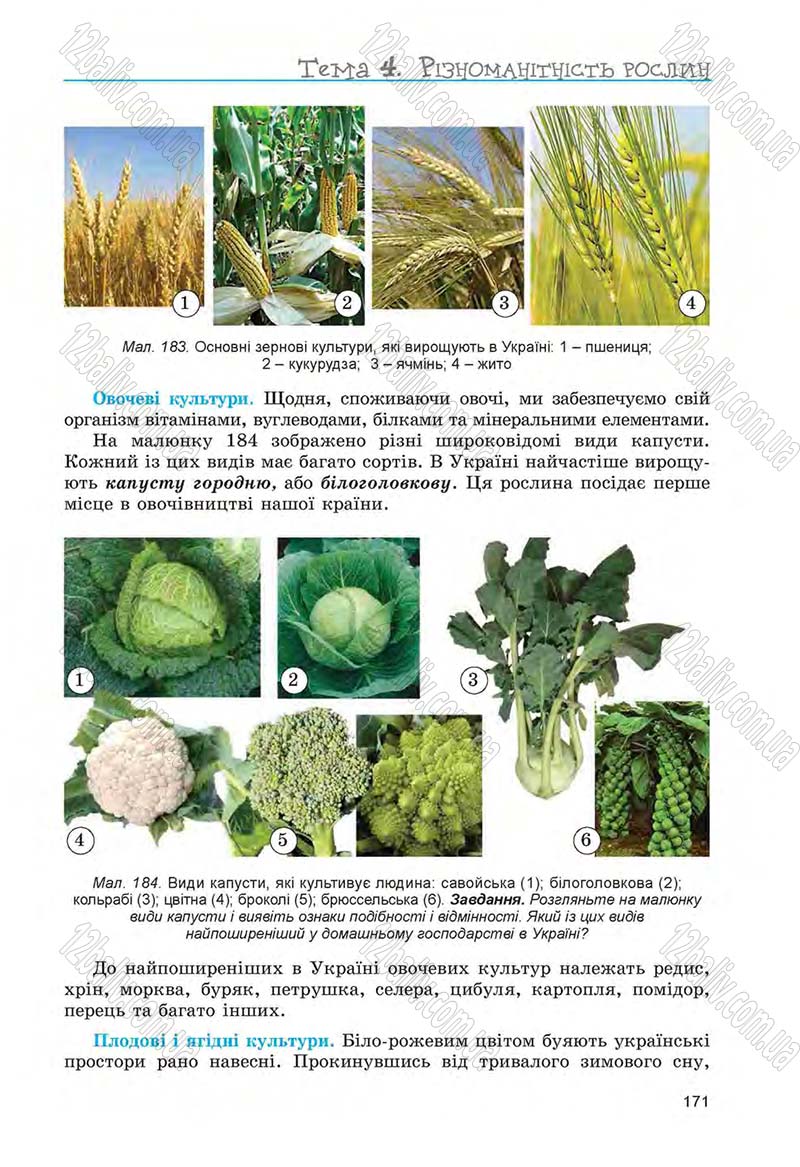 Сторінка 171 - Підручник Біологія 6 клас Л.І. Остапченко, П.Г. Балан, Н.Ю. Матяш 2014