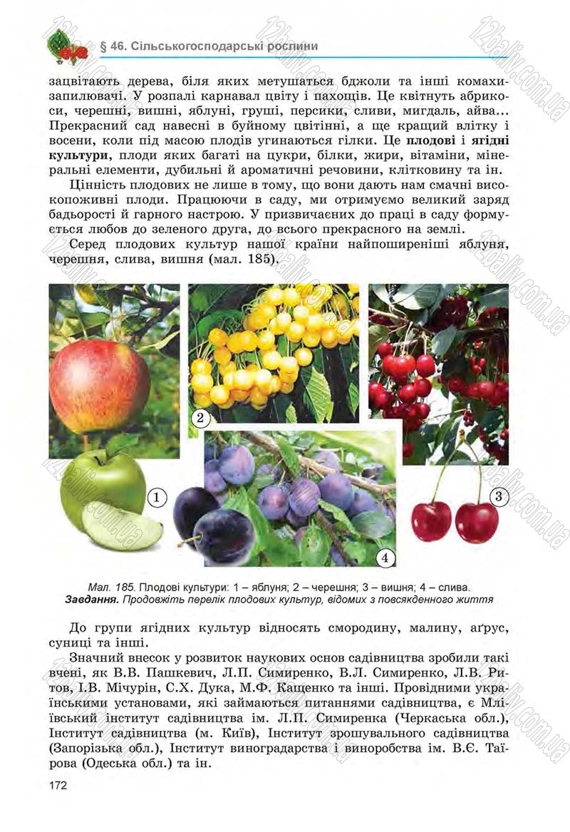 Сторінка 172 - Підручник Біологія 6 клас Л.І. Остапченко, П.Г. Балан, Н.Ю. Матяш 2014
