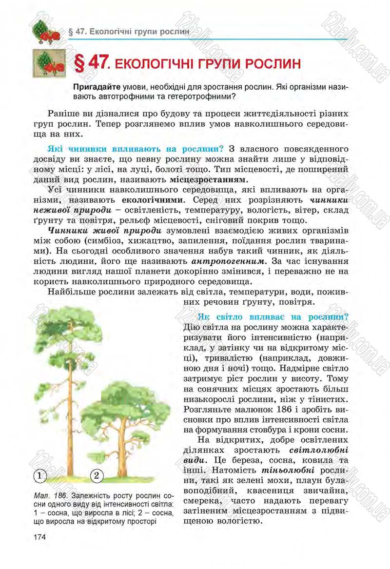 Сторінка 174 - Підручник Біологія 6 клас Л.І. Остапченко, П.Г. Балан, Н.Ю. Матяш 2014