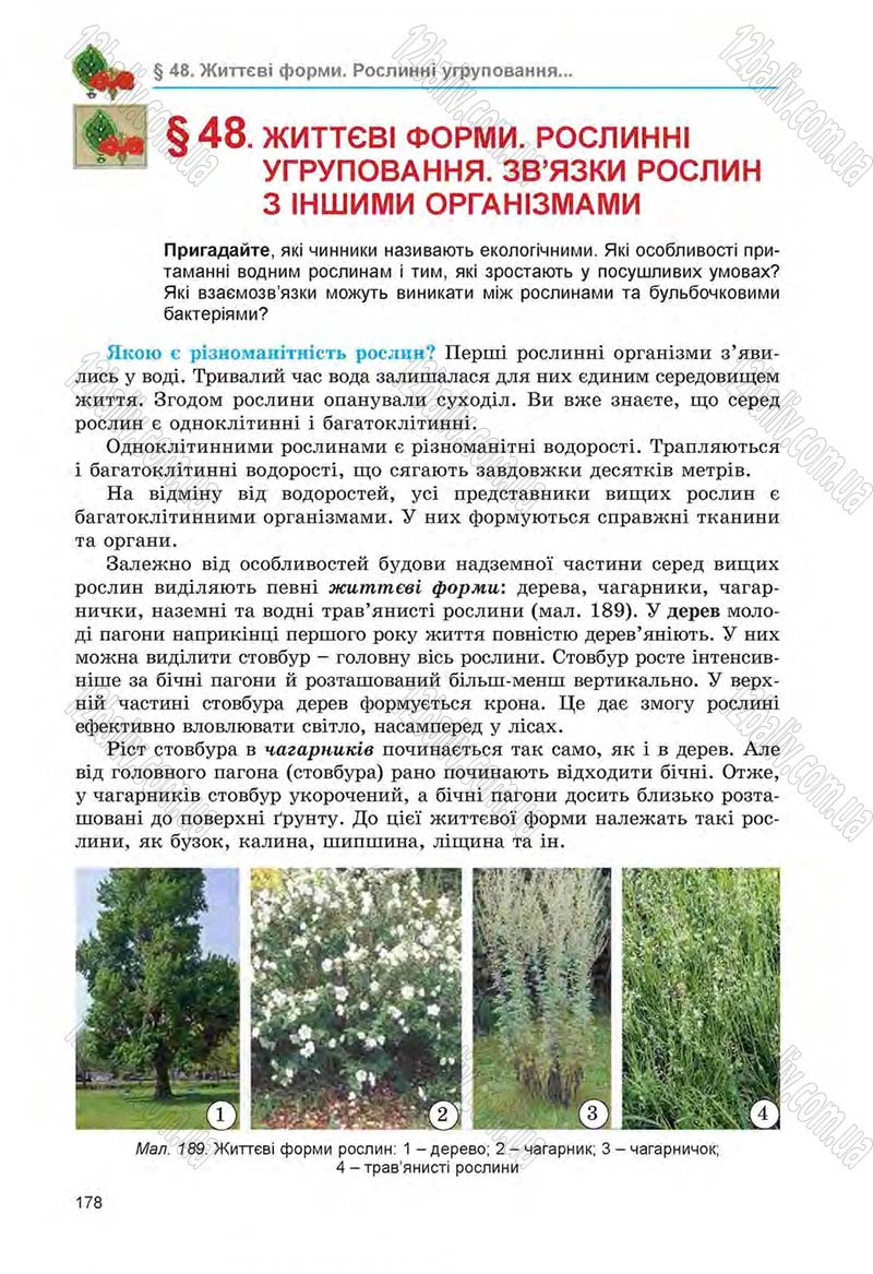 Сторінка 178 - Підручник Біологія 6 клас Л.І. Остапченко, П.Г. Балан, Н.Ю. Матяш 2014