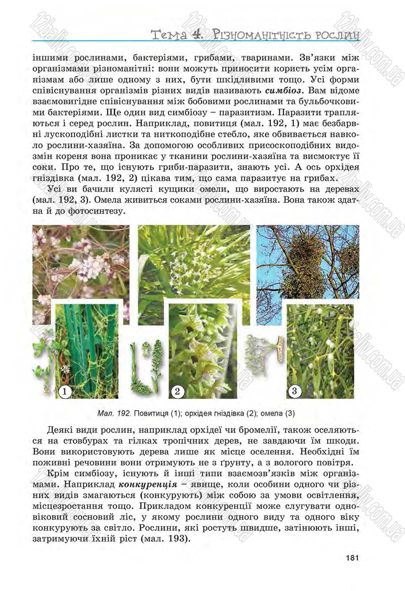 Сторінка 181 - Підручник Біологія 6 клас Л.І. Остапченко, П.Г. Балан, Н.Ю. Матяш 2014