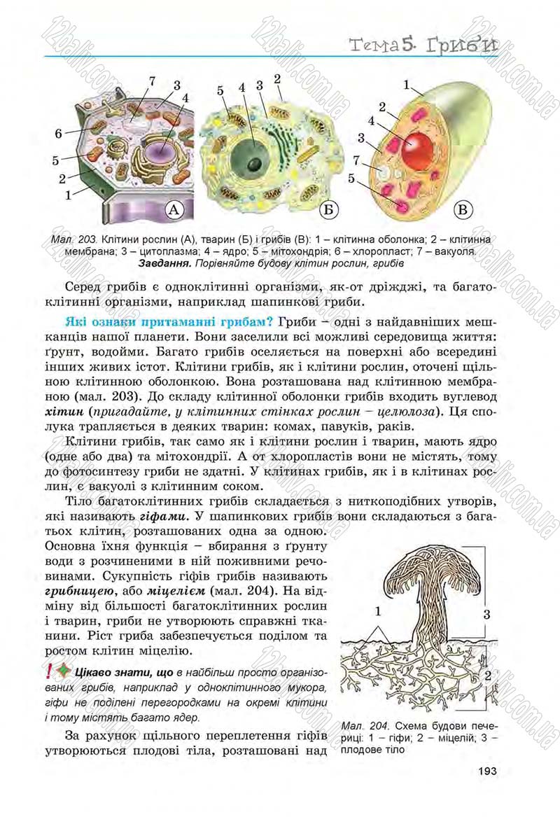 Сторінка 193 - Підручник Біологія 6 клас Л.І. Остапченко, П.Г. Балан, Н.Ю. Матяш 2014